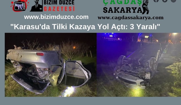 Karasu’da Tilki Kazaya Neden Oldu: 3 Yaralı