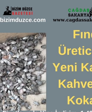 BİZİM DÜZCE GAZETESİ (2)