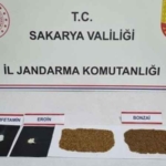 Serdivan'da Uyuşturucu Operasyonu: 1 Kişi Tutuklandı